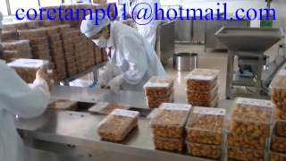 Packaging machine for Tray ，flow packaging machine KT-600W,(Factory  vedio）