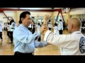 Grandmaster Doc-Fai Wong | San Diego, CA