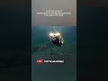 Introducing the Versatile Video Ray Defender Vehicle