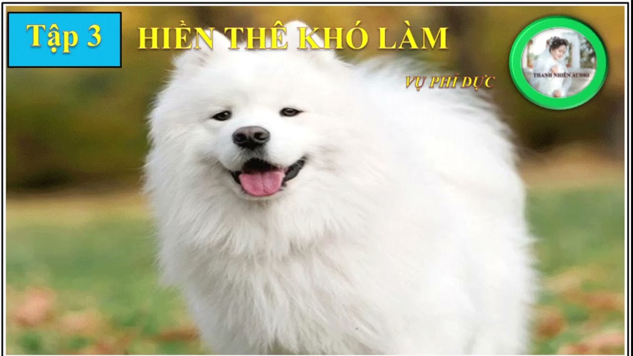 TẬP 3: Vương phi, ngài tìm nô tỳ có chuyện gì _ HIỀN THÊ KHÓ LÀM (31-40)