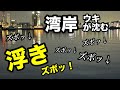 東京湾奥アジ開幕⁉︎コノ仕掛けで遠投すればウキがズボッ⁉︎2024.4