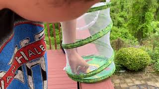 Cabbage White Butterfly Raising: Releasing The Adults