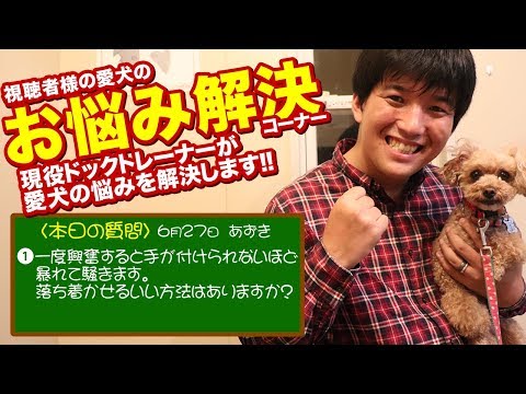 【愛犬のお悩み解決コーナー】一度興奮すると手が付けられないほど 暴れて騒ぎます。落ち着かせるいい方法はありますか？