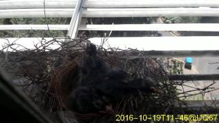 20161019T1130~1159