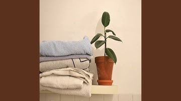 Pulsating Easy Flows