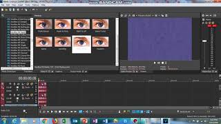 How To Make ZooPals Effect V84 (Sony Vegas Version)