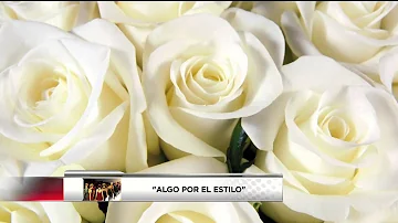 ¿Cuántas rosas le regalas a un amigo?