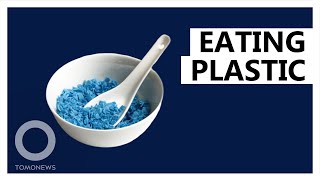 This is how much plastic you eat every week - TomoNews screenshot 3