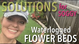 Solutions For Soggy Boggy Waterlogged Flower Beds Stella De Oro Daylily & Sweet Flag Gr