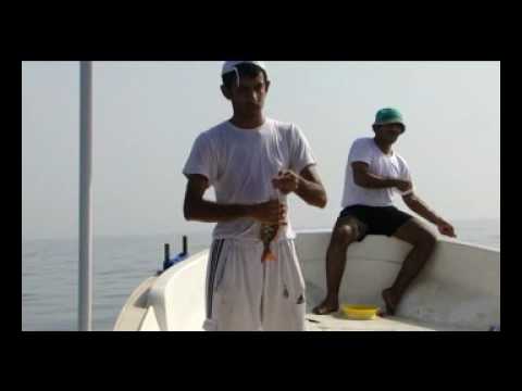 ابو سعفة