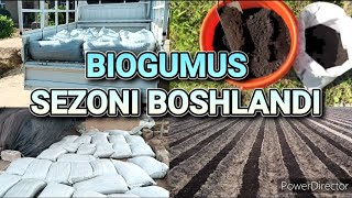 BIOGUMUS SEZONI BOSHLANDI/CHUVALCHANG BIZNES@biogumussurhondaryo8743