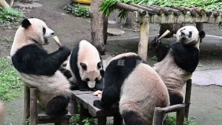 【四喜丸子】四根笋四只熊猫怎么分？
