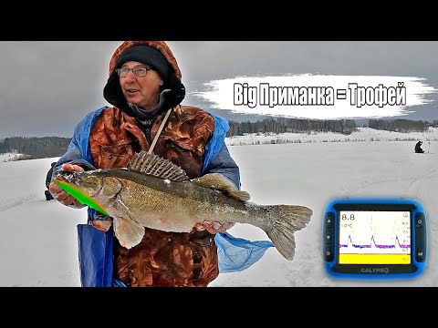 БОЛЬШАЯ ПРИМАНКА = ТРОФЕЙ🏆 Ловля Судака с эхолотом Calypso. Зимняя рыбалка 2024.