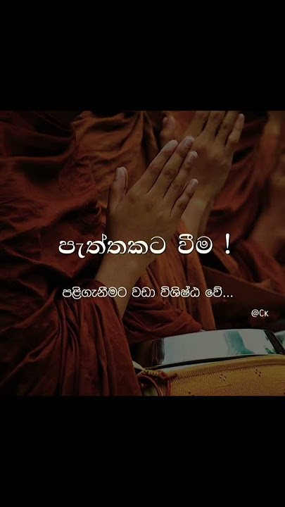 terum ganima tama satuya #srilankancricketers#like  100#srilankan#motivation#