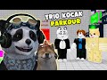 Trio kocak menyelesaikan semua rintangan  roblox teka teki kerja tim 2