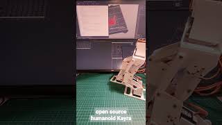 Shifting Center of Gravity forward and backward. For walking, Kayra needs also to lean sideways.