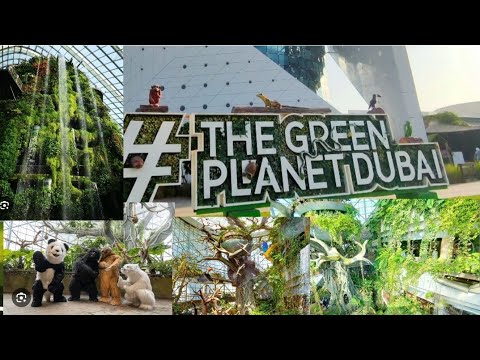 THE GREEN PLANET DUBAI🐍🦥🦇🦉🐦🦜 #dubai #animals #park #zoo