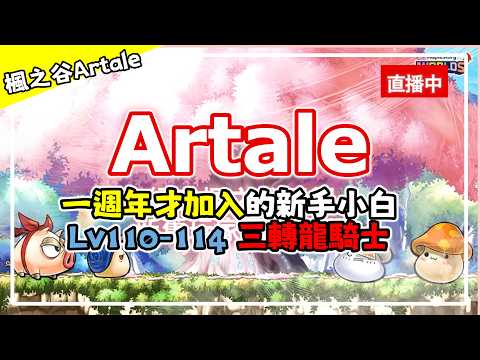 【Artale 直播11】Lv110-? 黑騎士 回CD練功最後一週的HT！衝四轉！#楓之谷 #阿泰爾 #artale