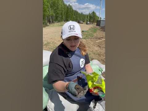 #сад #дача #семена #семенаалтая - YouTube