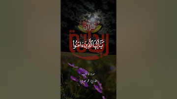 إن الله وملائكته يصلون على النبي.. #عمر_الدريويز #صلوا_على_النبي #جمعة_مباركة  #ريحانة_قرآن #تلاوات