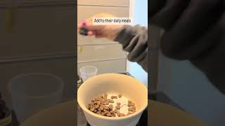 How To Dose Your Pet With Cbd