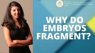 Why Do Embryos Fragment in IVF Lab Reasons for Embryos Fragmentation #ivflab #embryoquality
