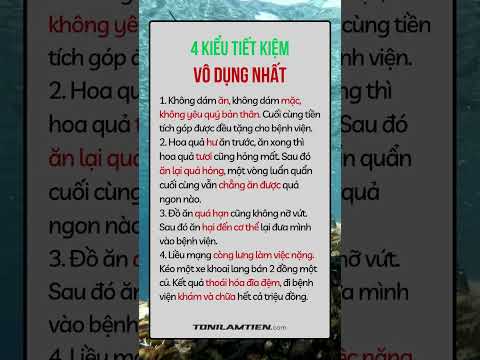 4 KIỂU TIẾT