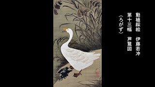 美品 掛け軸 伊藤若冲画・有馬頼底老師賛「葡萄栗鼠・芦花翡翠図」双幅 水墨画 美品 掛け軸 伊藤若冲画・有馬頼底老師賛「葡萄栗鼠・芦花翡翠図