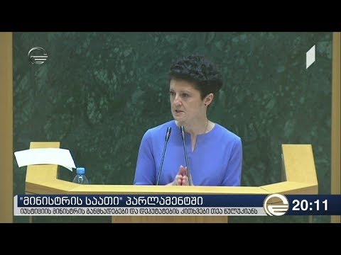 იუსტიციის მინისტრის განცხადებები და დეპუტატების კითხვები თეა წულუკიანს