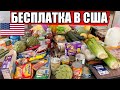 Бесплатка в Америке часть-4.  Завалили деньгами!!! Помощь американцам