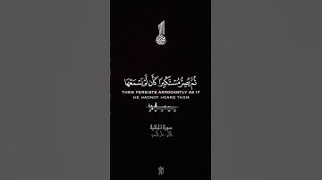 ‏سورة الجاثية ‏القارئ عامر السعيدي