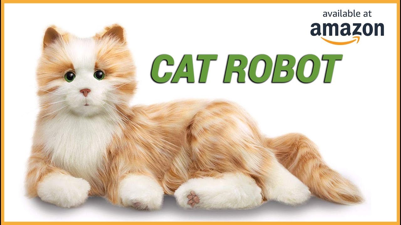 5 Cool Products You Can Buy On Amazon