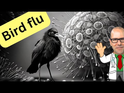 Video: Sådan overlever du en fugleinfluenza -pandemi: 14 trin (med billeder)