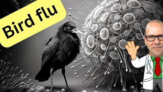 Avian Influenza  what you need to know about H5N1 and the risk of pandemic bird flu