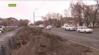 Тополей в Абакане больше не будет Тополей в Абакане больше не будет