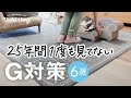 【害虫対策】我が家はこれで25年間ゴキブリを見てません/G対策6選/50代主婦/猫との暮らし