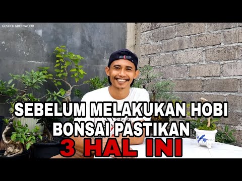 3 Kesalahan Pemula Saat Ingin Memulai Hobi Bonsai