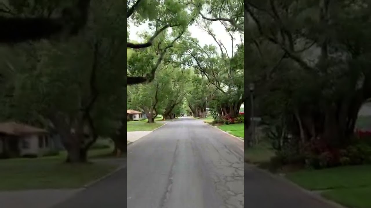 Most beautiful street in Lakeland Florida. Full video link at the end.