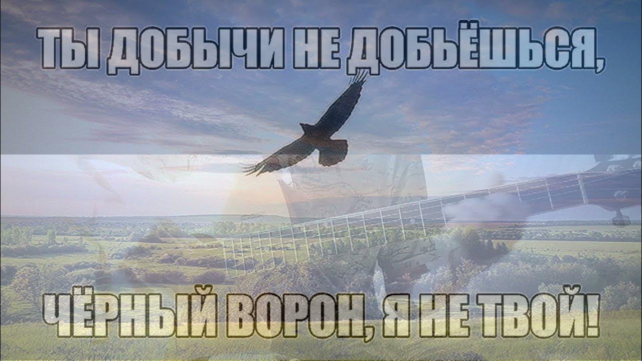 Русские народные песни ворон. Чёрный ворон песня. Черный ворон текст. Черный ворон я не твой. Чёрный ворон текст караоке.