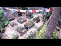 LIVE from The Wild Den Garden| Spring Winds, Roosters, Prayer Flags