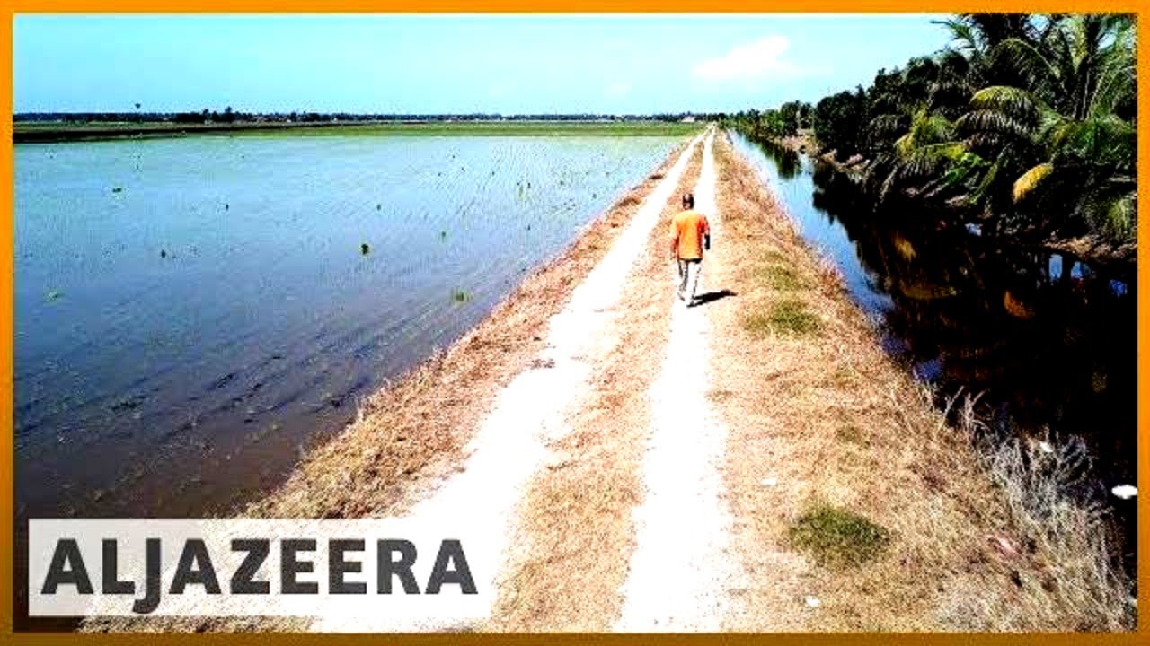 🌏 آسيا والمحيط الهادئ: الزراعة والنمو السكاني يرفعان الحاجة إلى المياه | الجزيرة الإنجليزية