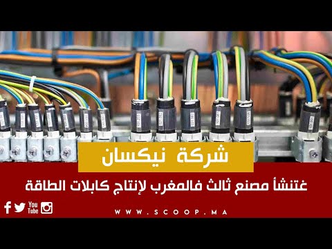شركة نيكسان غتنشأ مصنع ثالث فالمغرب لإنتاج كابلات الطاقة