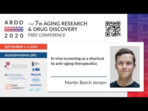 Martin Borch Jensen