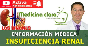 ¿Qué vitaminas ayudan a restablecer la función renal?