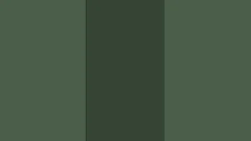 4 Mai 2025 