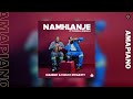 Mankay & Choco Dynasty – Namhlanje ft  Pushkin RSA & Springle