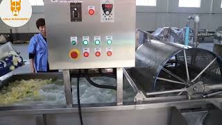 Leafy vegetable processing line.