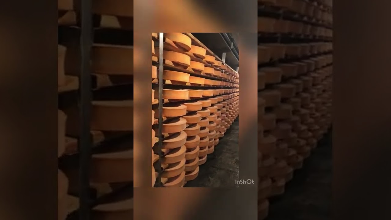 Milk Trekker pt. 2 -  Fontina made in an Alpage, tomme de Capra, and haymaking in the Italian Alps