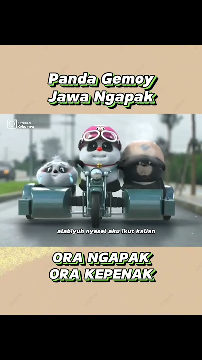 panda gemoy Jawa ngapak 🤣!! #rameinpliss #subscribe #shorts