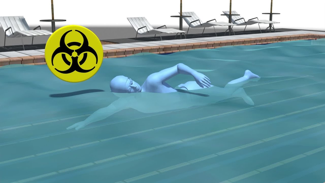 Hotel pools and hot tubs linked to a third of swimmingrelated disease
